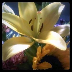 Meet your Posher, Kirsten